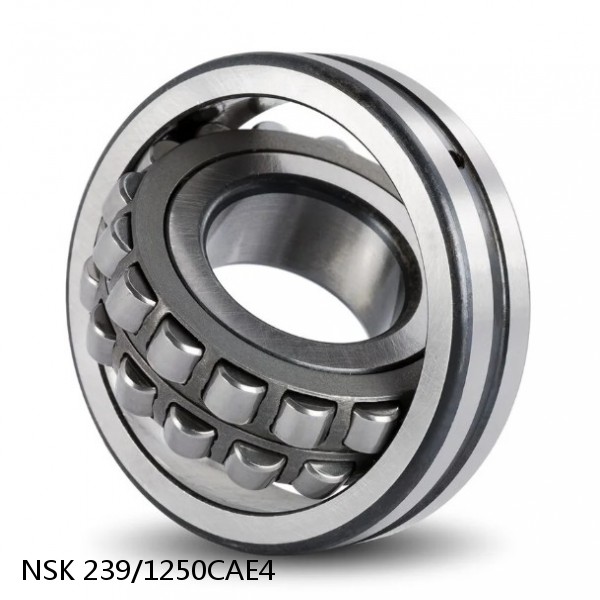 239/1250CAE4 NSK Spherical Roller Bearing