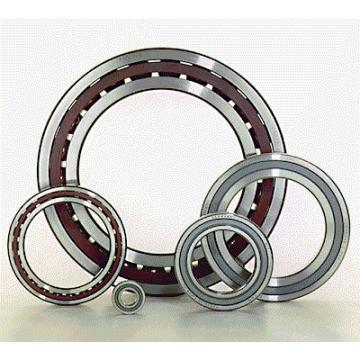 65 mm x 140 mm x 33 mm  NACHI NF 313 cylindrical roller bearings