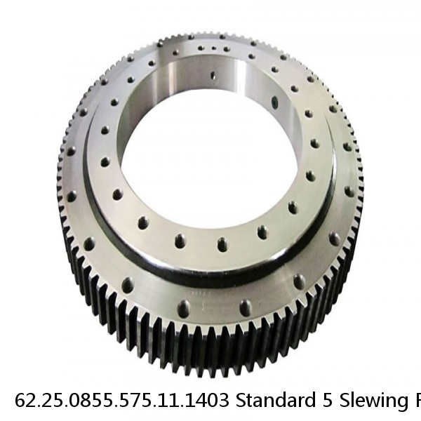 62.25.0855.575.11.1403 Standard 5 Slewing Ring Bearings