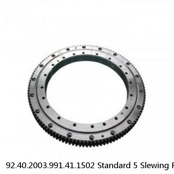 92.40.2003.991.41.1502 Standard 5 Slewing Ring Bearings