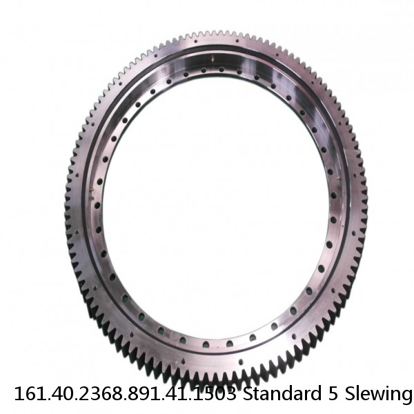 161.40.2368.891.41.1503 Standard 5 Slewing Ring Bearings