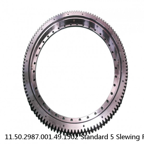 11.50.2987.001.49.1502 Standard 5 Slewing Ring Bearings