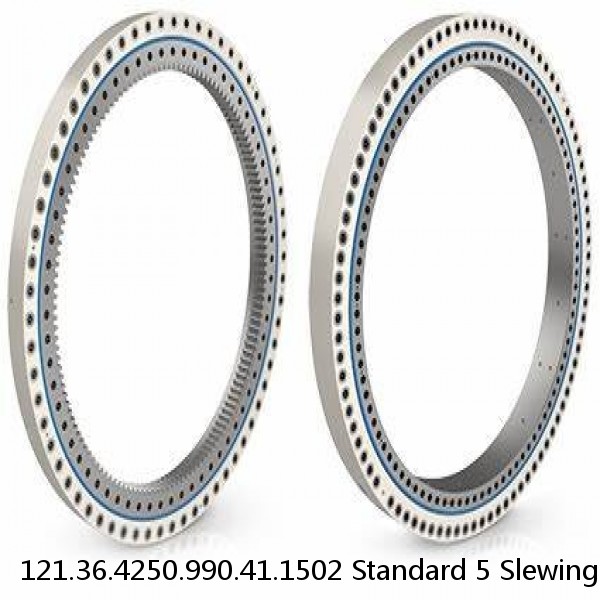 121.36.4250.990.41.1502 Standard 5 Slewing Ring Bearings