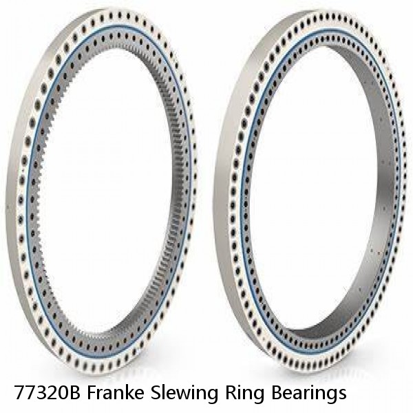 77320B Franke Slewing Ring Bearings