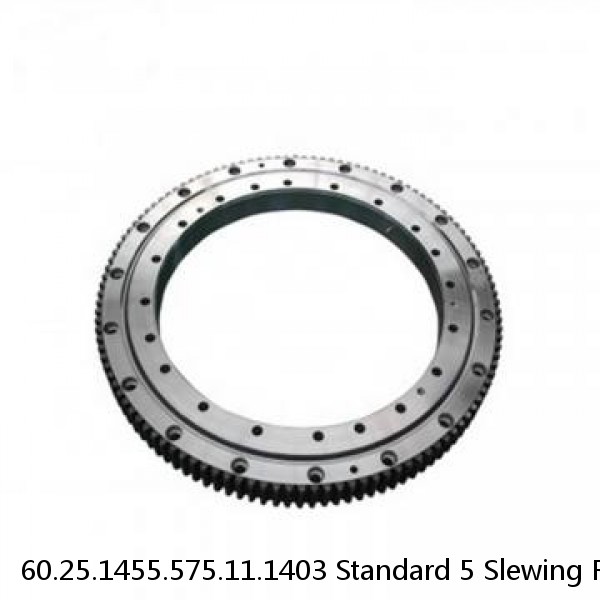 60.25.1455.575.11.1403 Standard 5 Slewing Ring Bearings