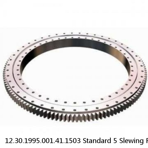 12.30.1995.001.41.1503 Standard 5 Slewing Ring Bearings