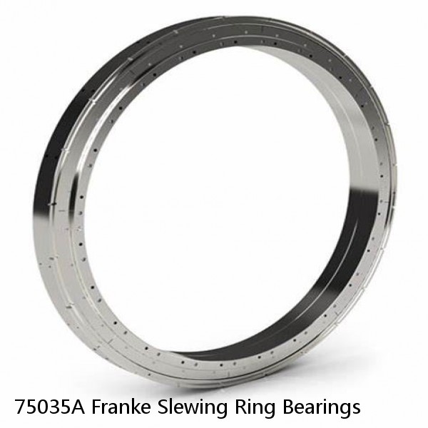 75035A Franke Slewing Ring Bearings