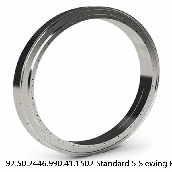 92.50.2446.990.41.1502 Standard 5 Slewing Ring Bearings