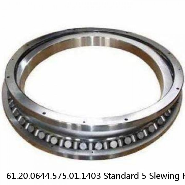 61.20.0644.575.01.1403 Standard 5 Slewing Ring Bearings