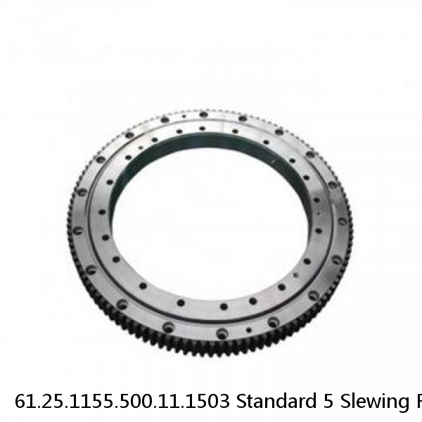 61.25.1155.500.11.1503 Standard 5 Slewing Ring Bearings