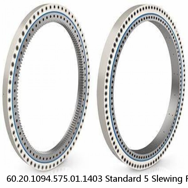 60.20.1094.575.01.1403 Standard 5 Slewing Ring Bearings