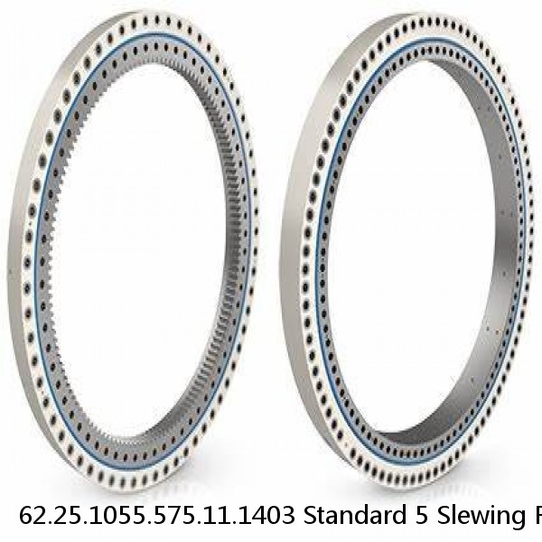 62.25.1055.575.11.1403 Standard 5 Slewing Ring Bearings