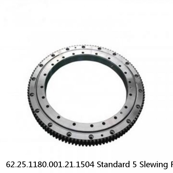 62.25.1180.001.21.1504 Standard 5 Slewing Ring Bearings