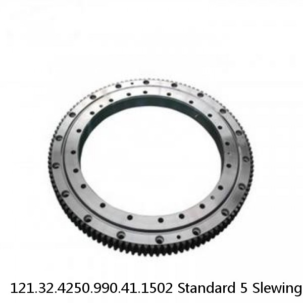 121.32.4250.990.41.1502 Standard 5 Slewing Ring Bearings